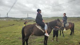 侧骑马视频,感受速度与激情的视觉盛宴