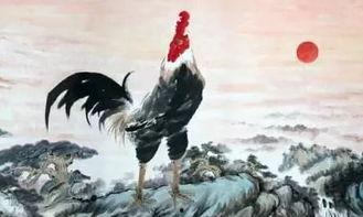 画鸡朗读视频,探寻传统艺术之美