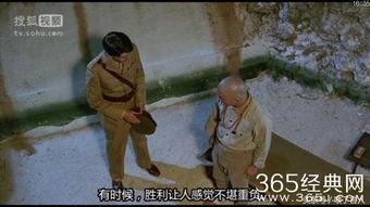 日本人搞鸡视频,背后隐藏的文化现象与争议